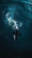 An orca whale swimming in the ocean photo