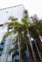 Modern architecture with palm trees in urban environment on a cloudy day photo