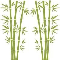 Green Bamboo Illustration for Decorative Design. vector