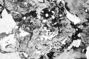 Abstract black and white texture highlighting natural patterns and forms photo