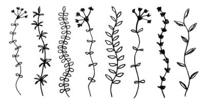 Hand drawn botany elements set. Ink drawing grass, branches with leaves in naive style. Black and white floral elements in grunge style vector