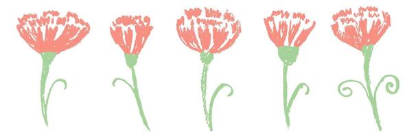 Set of hand drawn carnation flowers with ink brush texture. Modern floral elements in grunge style vector