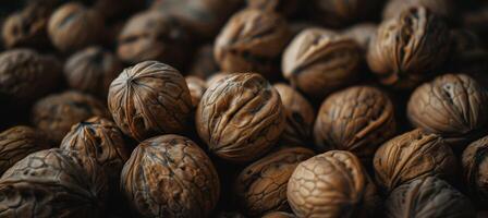 Explore the intricate textures and patterns of walnut shells in this close-up shot. photo