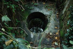 Old stone well covered with moss and surrounded by plants in a forest photo