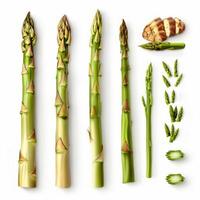 Fresh asparagus spears, tips, and slices displayed on white background photo