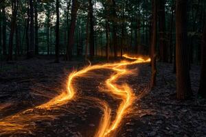 Glowing embers creating a magical path through dark forest at night photo