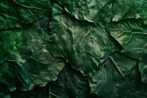 Dark green leaves creating intricate natural background texture photo