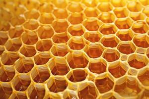 Close up of honeycomb showing perfect hexagonal structure containing golden honey photo