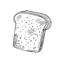 Doodle sliced bread and toasts illustration isolated on white. square loaf with various bread slices. sandwich icons collection. vector