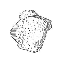 Doodle sliced bread and toasts illustration isolated on white. square loaf with various bread slices. sandwich icons vector