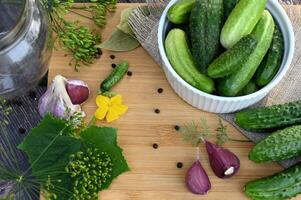 On a beautiful sunny morning a set of ingredients for pickling cucumbers, pickled cucumbers, brine. photo