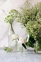 Fresh white gypsophila, piones on a white background. Wedding date. An invitation to a holiday. Congratulation.An empty space for text. View from above. photo