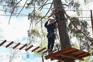 A picture of a person walking on a rope bridge course in a forest. photo