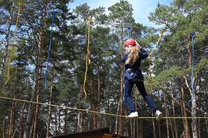Amidst a canopy of trees and a network of ropes, a person, helmeted and focused, crosses a suspended bridge, showcasing a moment of courage and outdoor engagement. photo