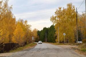 on a wonderful day the road to the autumn forest photo