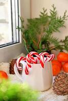 Sweet food top view background for merry christmas or new year holiday decoration - chocolate candies, tangerines, cookies, marshmallow and cocoa latte on white wood photo