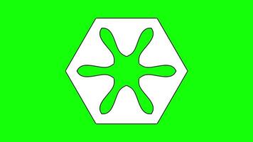 Symmetrical Floral-Inspired Shape with Hexagonal Frame and Curved Petals video