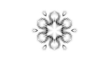 Dynamic Animated Abstract Design with Symmetrical Flow video