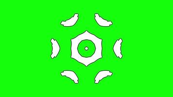 Geometric Floral Design with Layered Hexagonal Core video