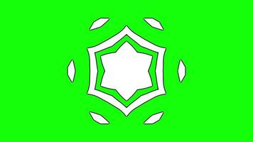 Abstract Hexagon Design with Floral Elements video