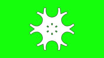 Abstract Symmetrical Animation with Unique Circular Motifs video