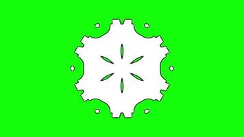 Decorative Abstract Floral Pattern with Intricate Geometry video