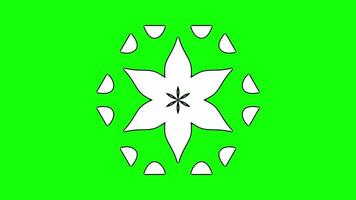 Star Shape with Surrounding Geometric Elements in Symmetry video