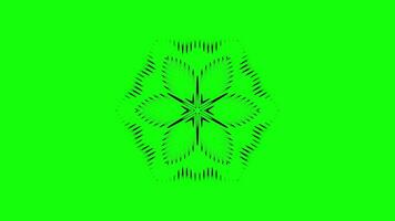 Intricate Geometric Animated Pattern with Fluid Motion video