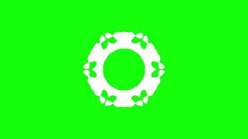 Abstract circular design with intricate patterns forming a geometric loop video