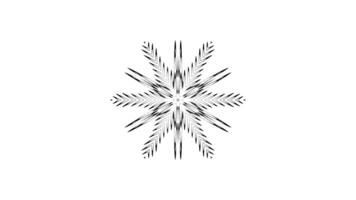 Geometric Animation with Evolving Symmetry and Fluid Transitions video