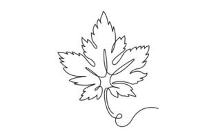 Virginia Creeper Maple Leaf Continuous Line vector