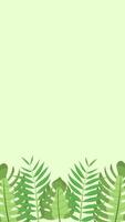 Vertical background with tropical forest leaves on the bottom side, monstera leaves and exotic palm leaves. Place for text. illustration in flat design style vector