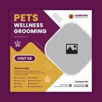 Pet walking and wellness grooming Social Media Post design Or pet business web, online post-Square banner template vector