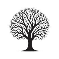 Tree Without Leaves Graphics for Nature Logos vector