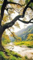 Whispering Branches Over the Stream. A serene scene featuring a gracefully arching tree with golden leaves framing a gentle stream flowing through a lush, green valley. photo