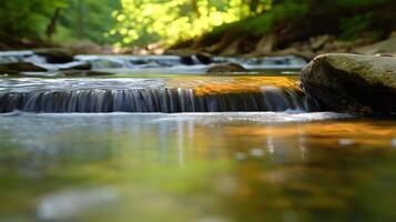 Crystal Clear Water Over Rocks in the Forest. A serene close-up view of a small stream flowing gently over smooth rocks in a forest. The vibrant greenery reflects on the water photo
