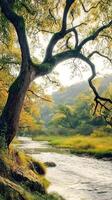 Whisper of the Winding Stream. A picturesque riverside scene featuring a gracefully arching tree with golden and green leaves that frame the view. photo
