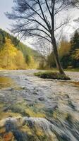 Golden Drift Along the Stream. A lively river flowing through a serene autumn landscape, surrounded by golden trees and lush greenery. photo