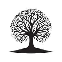 Unique Tree Without Leaves Graphics for Artistic Use vector