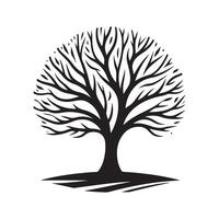 Professional Tree Without Leaves Vectors for Logo Creation