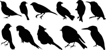 collection of perch rest sit bird avian icon solid color bundle hibernate migration collection of perch rest sit bird avian icon solid color bundle hibernate migration vector