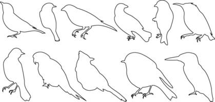 collection of perch rest sit bird avian icon outline stroke bundle hibernate migration collection of perch rest sit bird avian icon outline stroke bundle hibernate migration pack vector