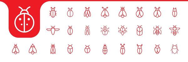 minimal insect wings line set icon design vector