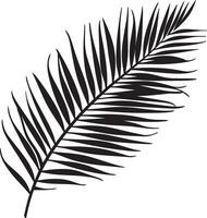 Simple palm branch silhouette in black style, symbolizing victory and peace. vector