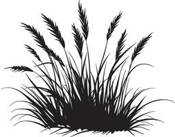 silhouette of grass on a white background vector