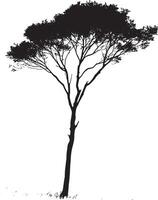 a tree silhouette on a white background vector