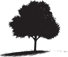 a black and white drawing of a tree vector