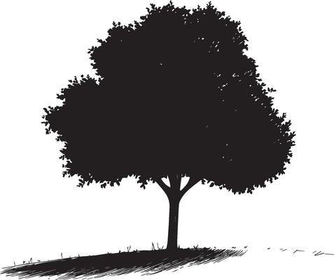a black and white drawing of a tree