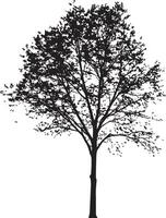 a black and white silhouette of a tree vector