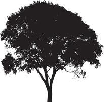 tree silhouette illustration vector
